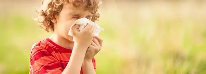 natural remedies for hayfever