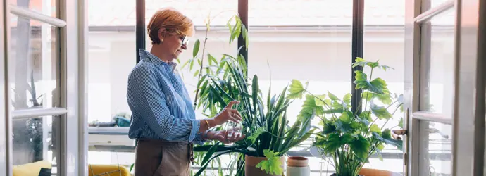 Femeie udă plantele de interior, cameră însorită.