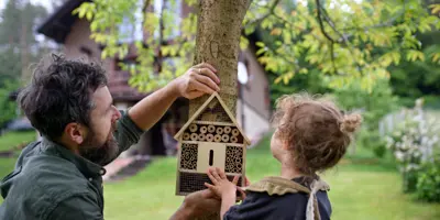 Jak vyrobit hmyzí hotel