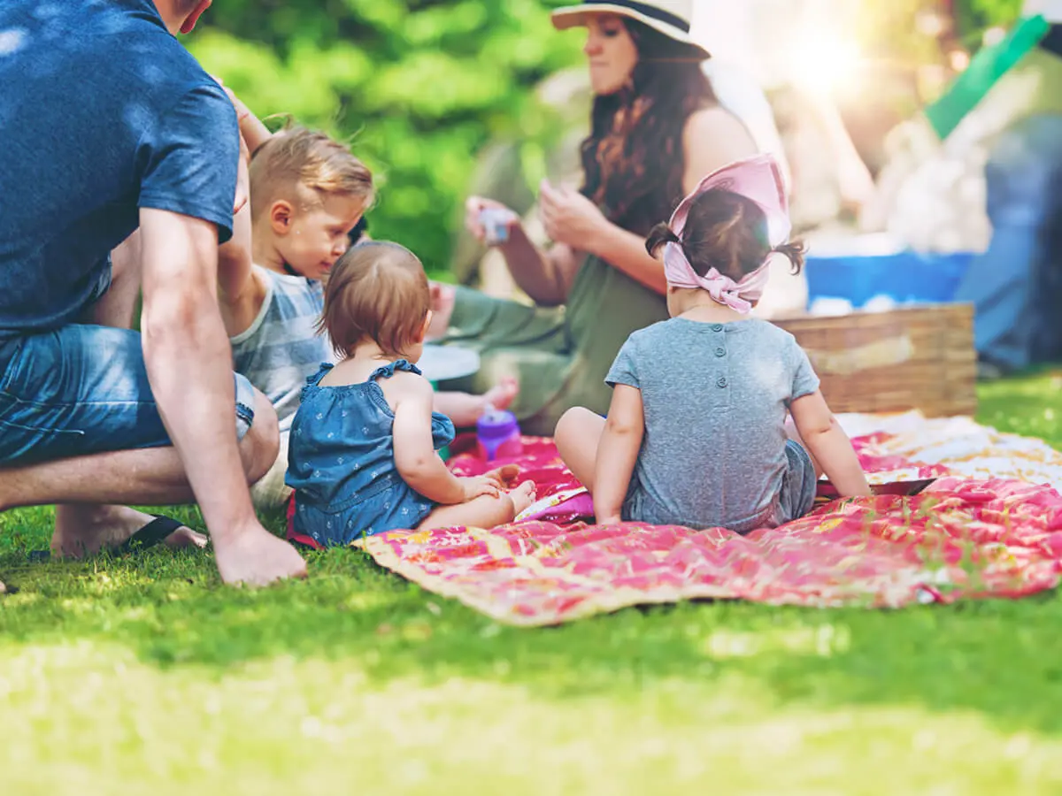 Cinci idei de picnic în familie