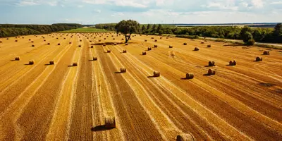 Četiri održiva vlakna: slama, bambus, konoplja i liocel materijal