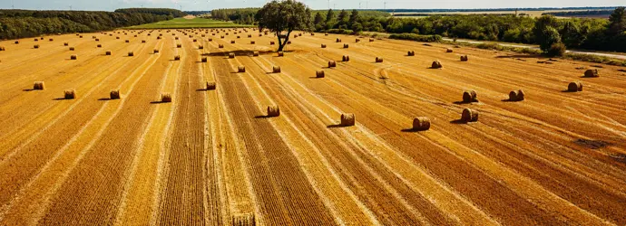 Četiri održiva vlakna: slama, bambus, konoplja i liocel materijal